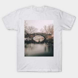 New York Winter 2 T-Shirt
